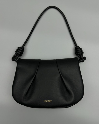 BAg Loewe 062317